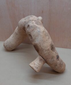 Bamboo Root - Large - 9