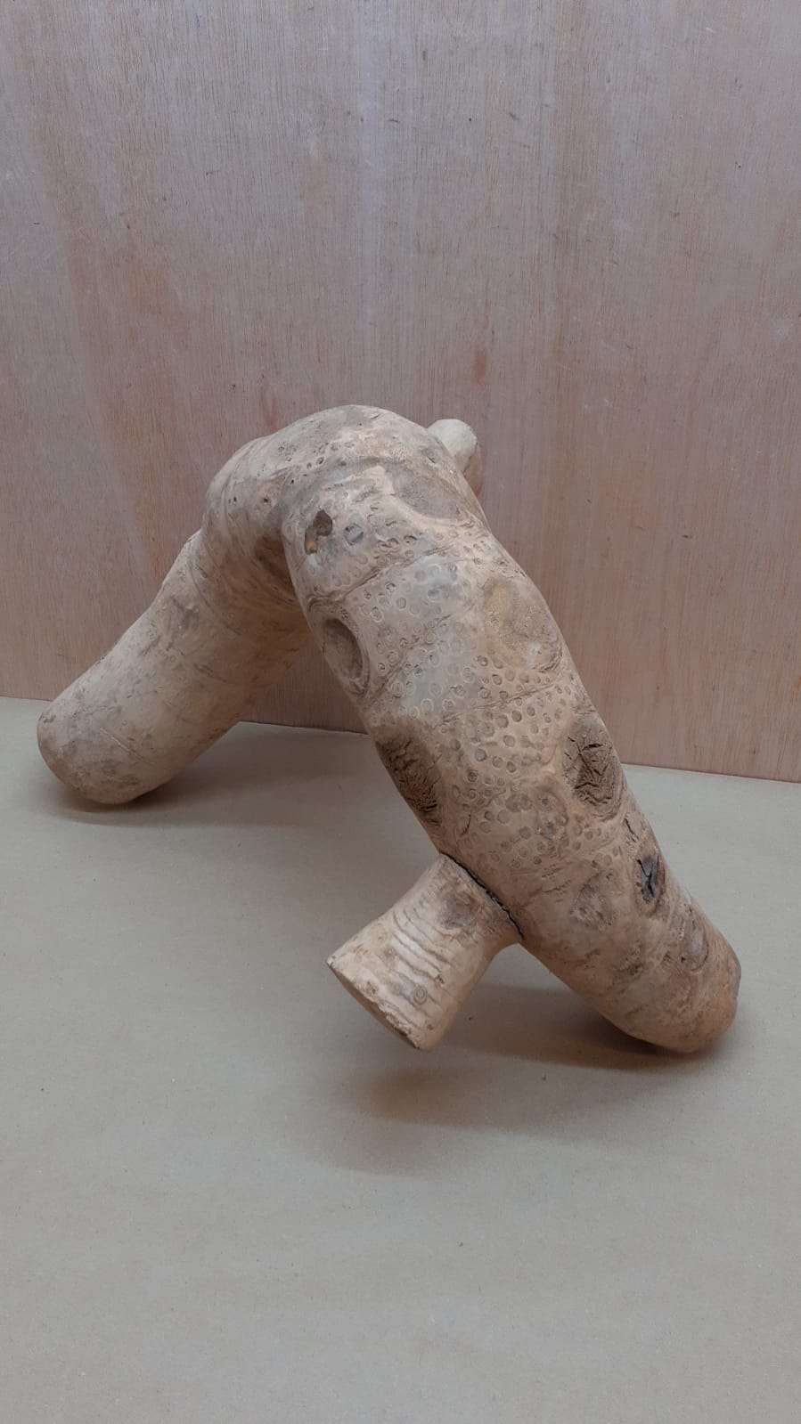 Bamboo Root - Large - 9