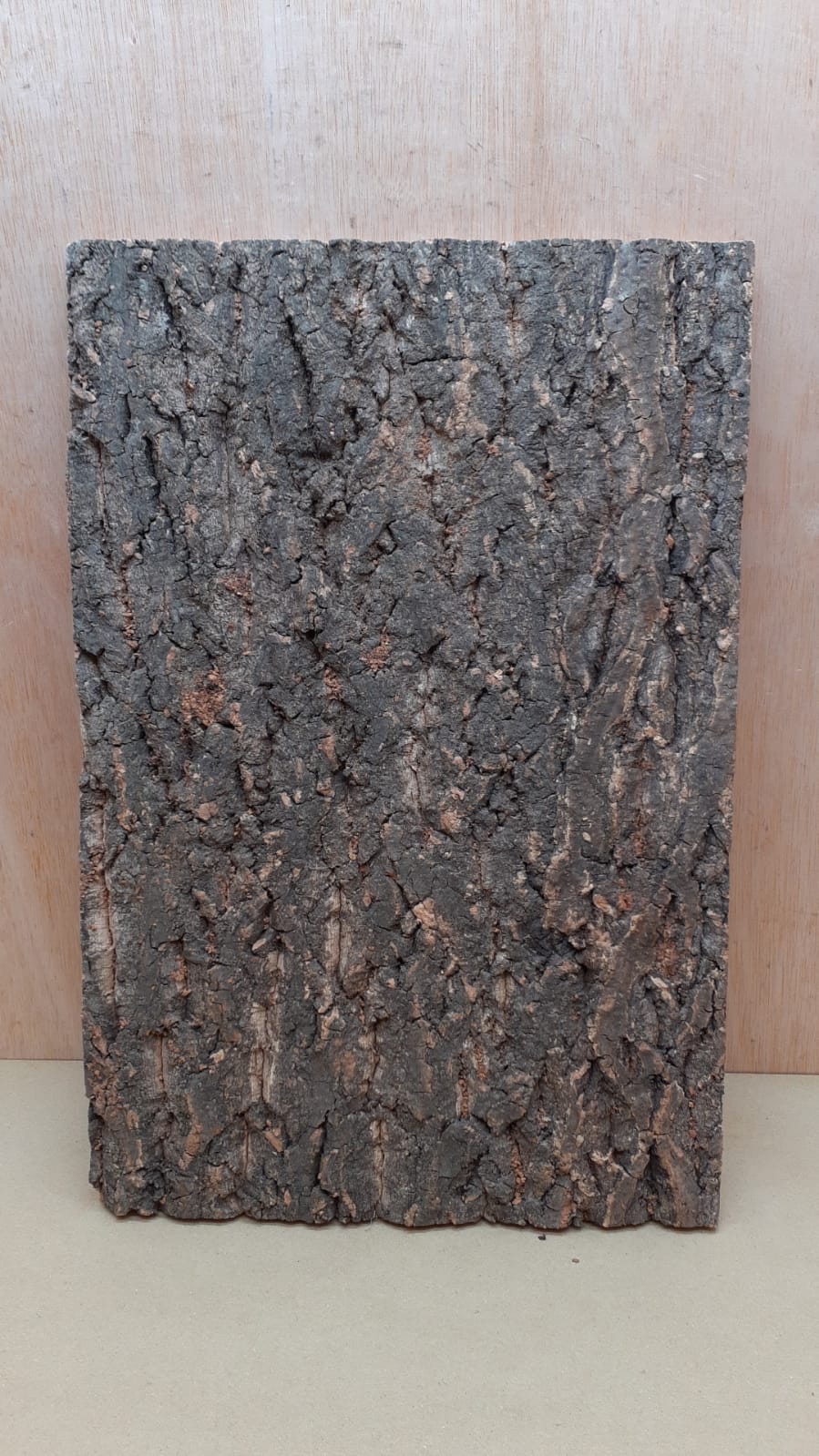 Cork Bark Background Panel 30x45cm - 16