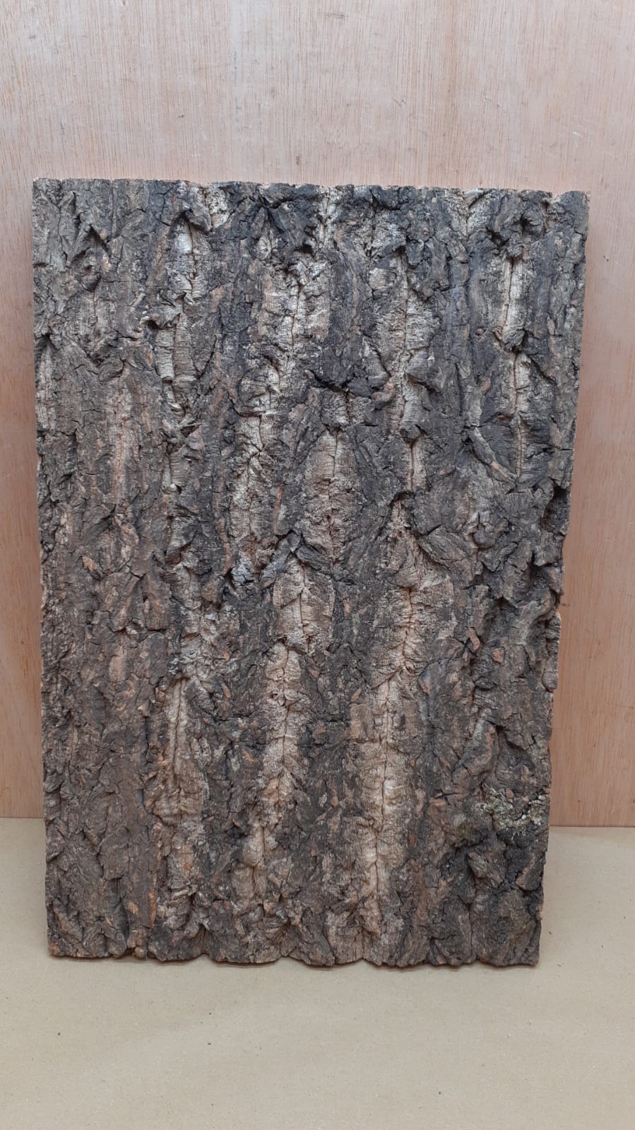 Cork Bark Background Panel 30x45cm - 14
