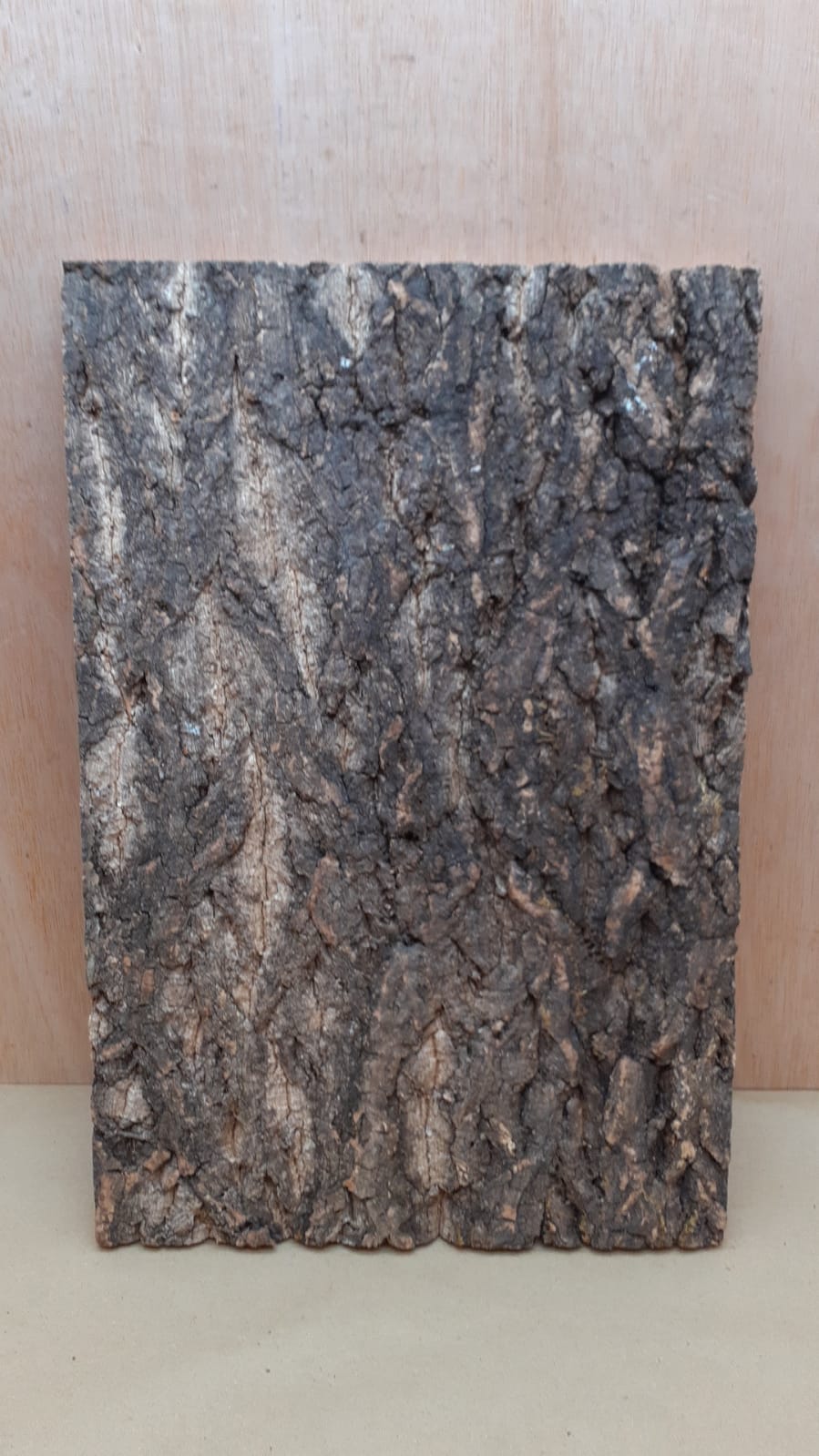 Cork Bark Background Panel 30x45cm - 20