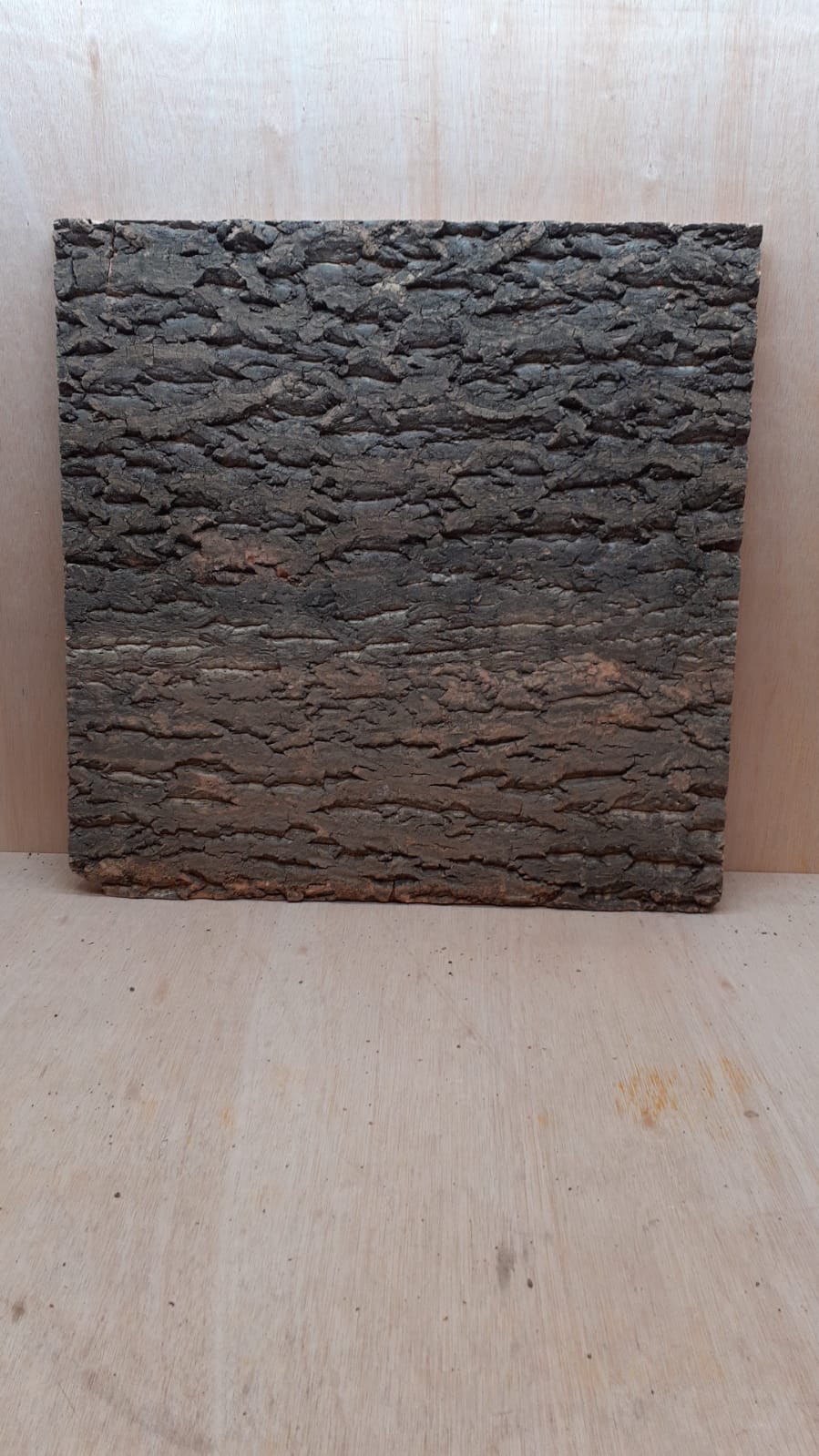 Cork Bark Background Panel 60x60cm - 18
