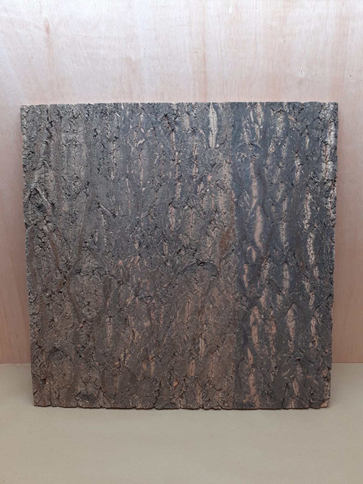 Cork Bark Background Panel 60x60cm - 12