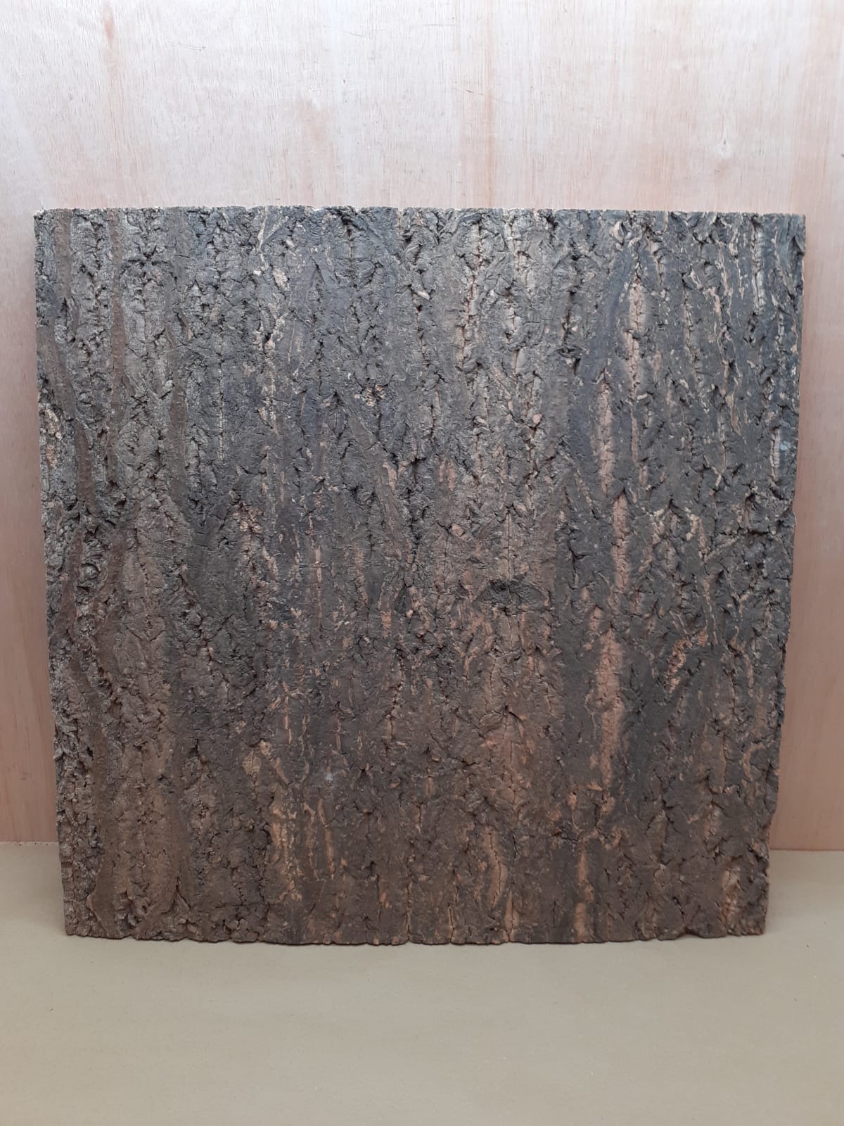 Cork Bark Background Panel 60x60cm - 13