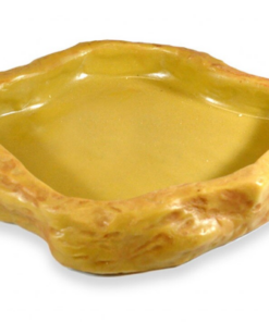 Bowls & Dishes