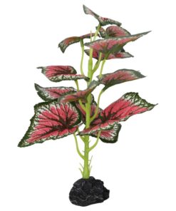 ProRep Terrestrial Begonia Salsa 27cm