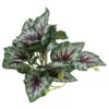 ProRep Terrestrial Begonia Silver Spirit 14cm