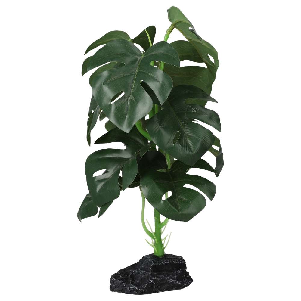 ProRep Terrestrial Monstera 27cm