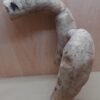 Bamboo Root - XL - 1