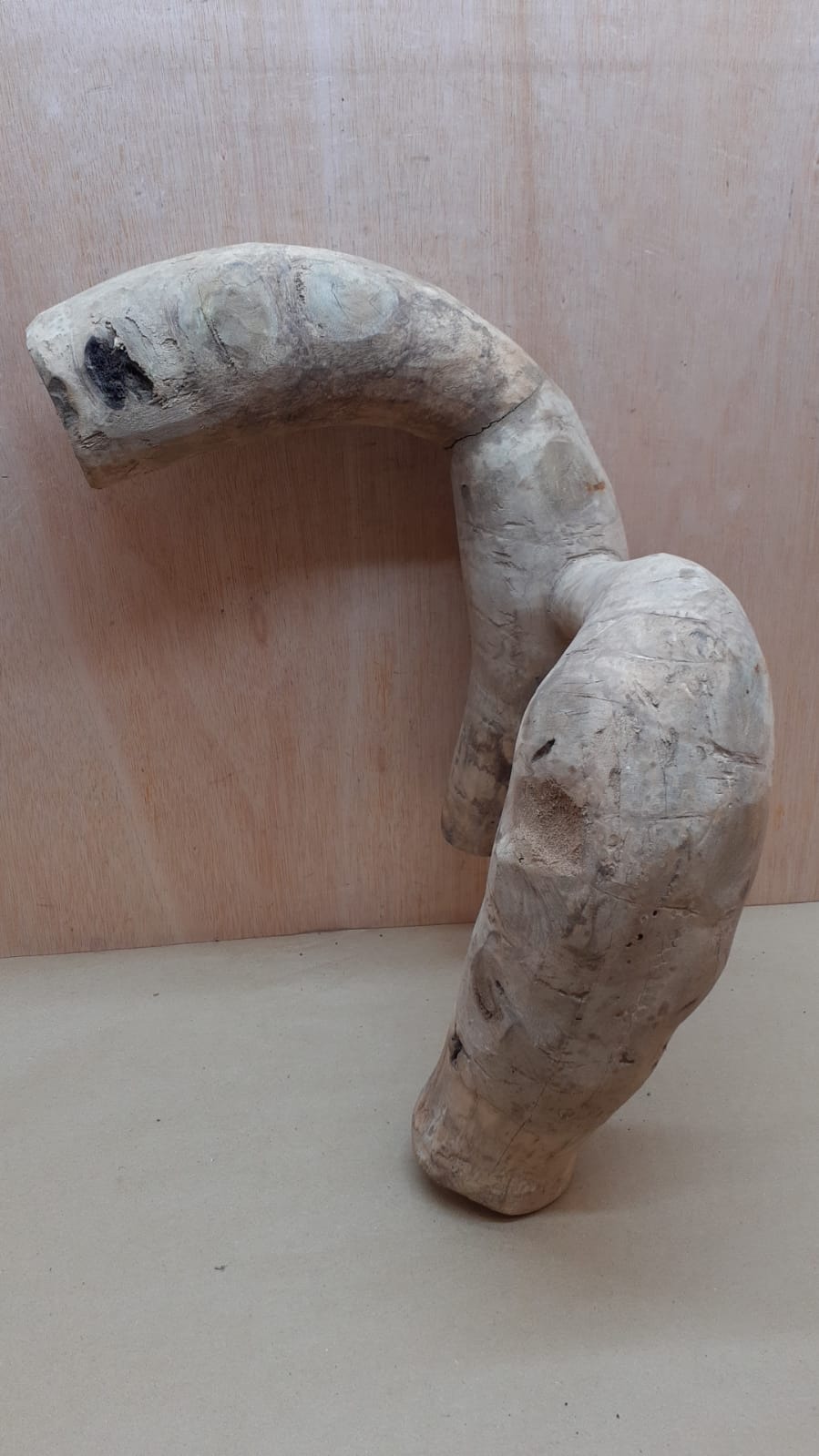 Bamboo Root - XL - 1