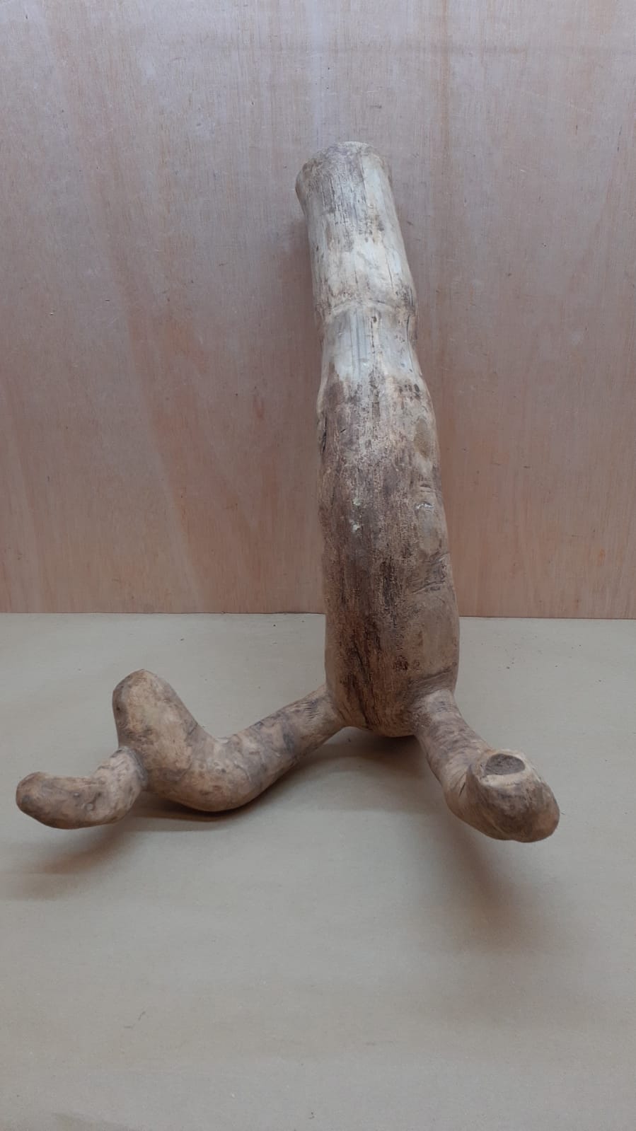 Bamboo Root - XL - 5