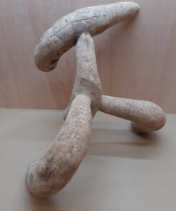 Bamboo Root - XL - 6