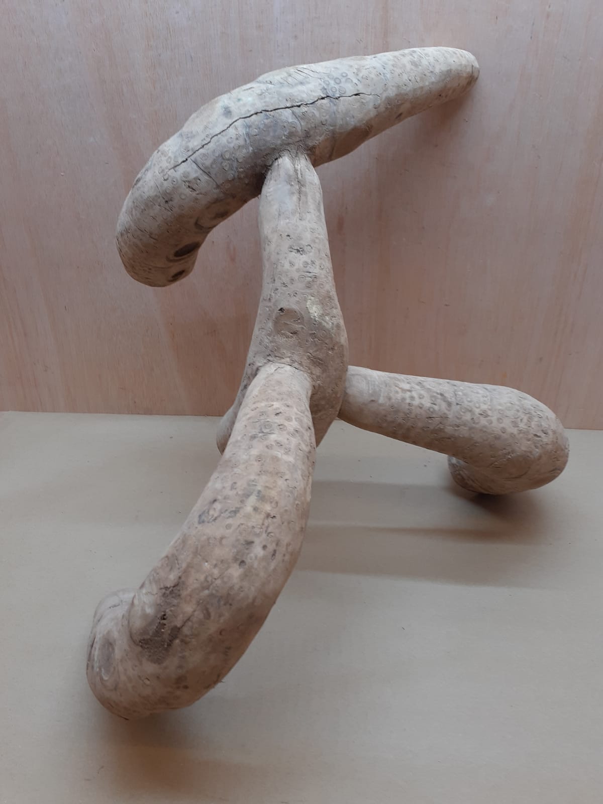 Bamboo Root - XL - 6