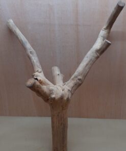 Java Wood - Double Stem - XXL 9