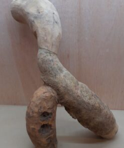 Bamboo Root - XL - 7