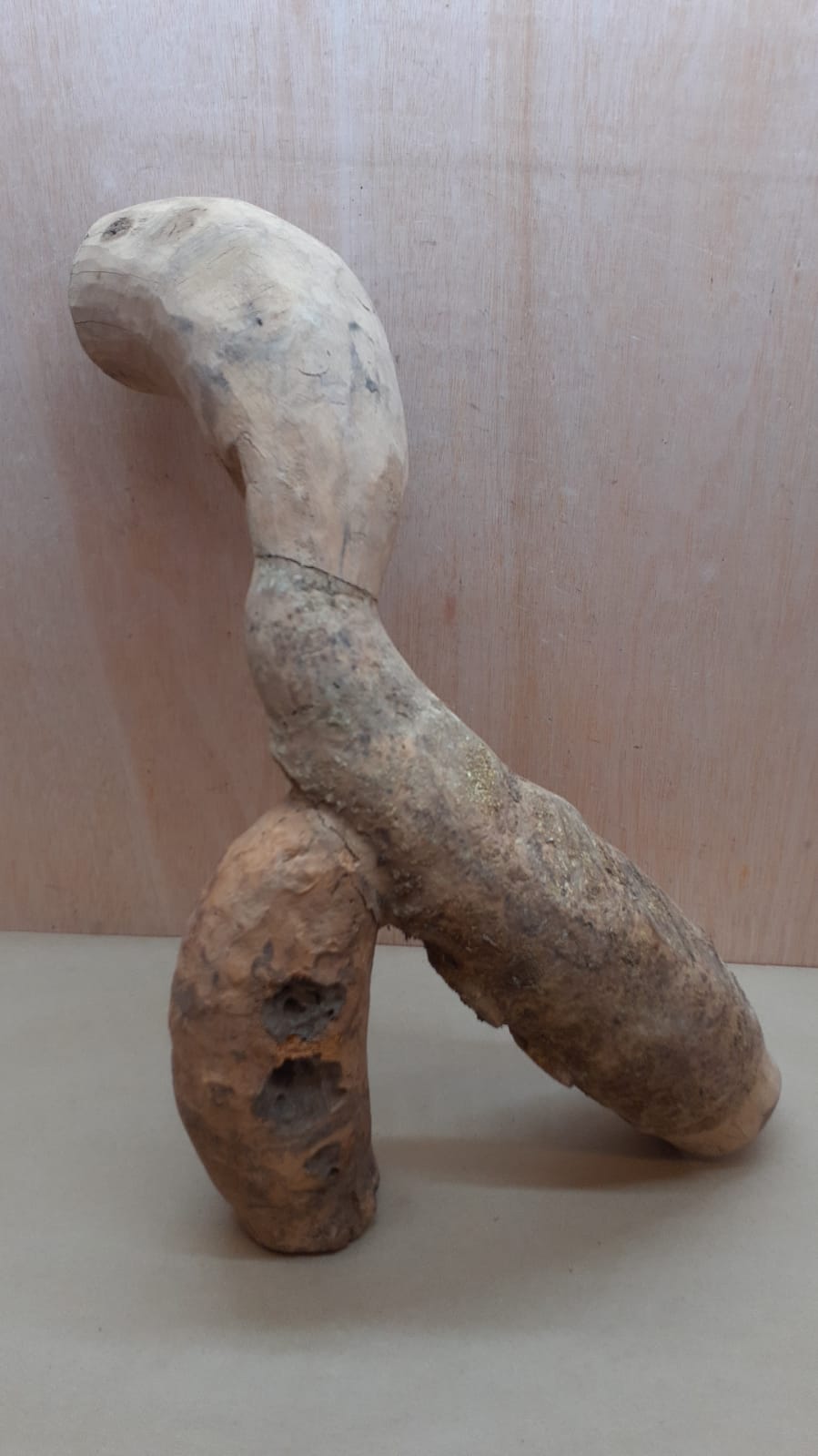 Bamboo Root - XL - 7