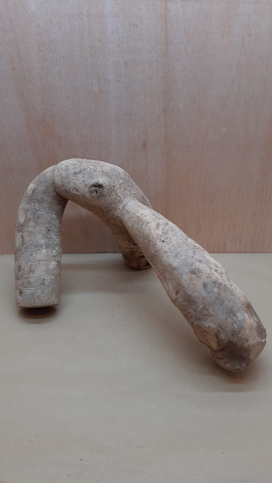 Bamboo Root - XL - 8
