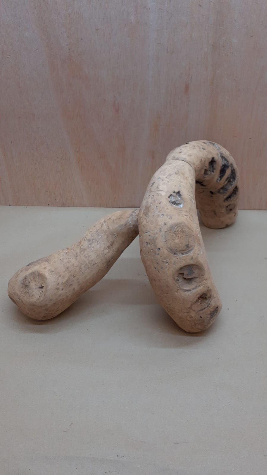 Bamboo Root - XL - 10