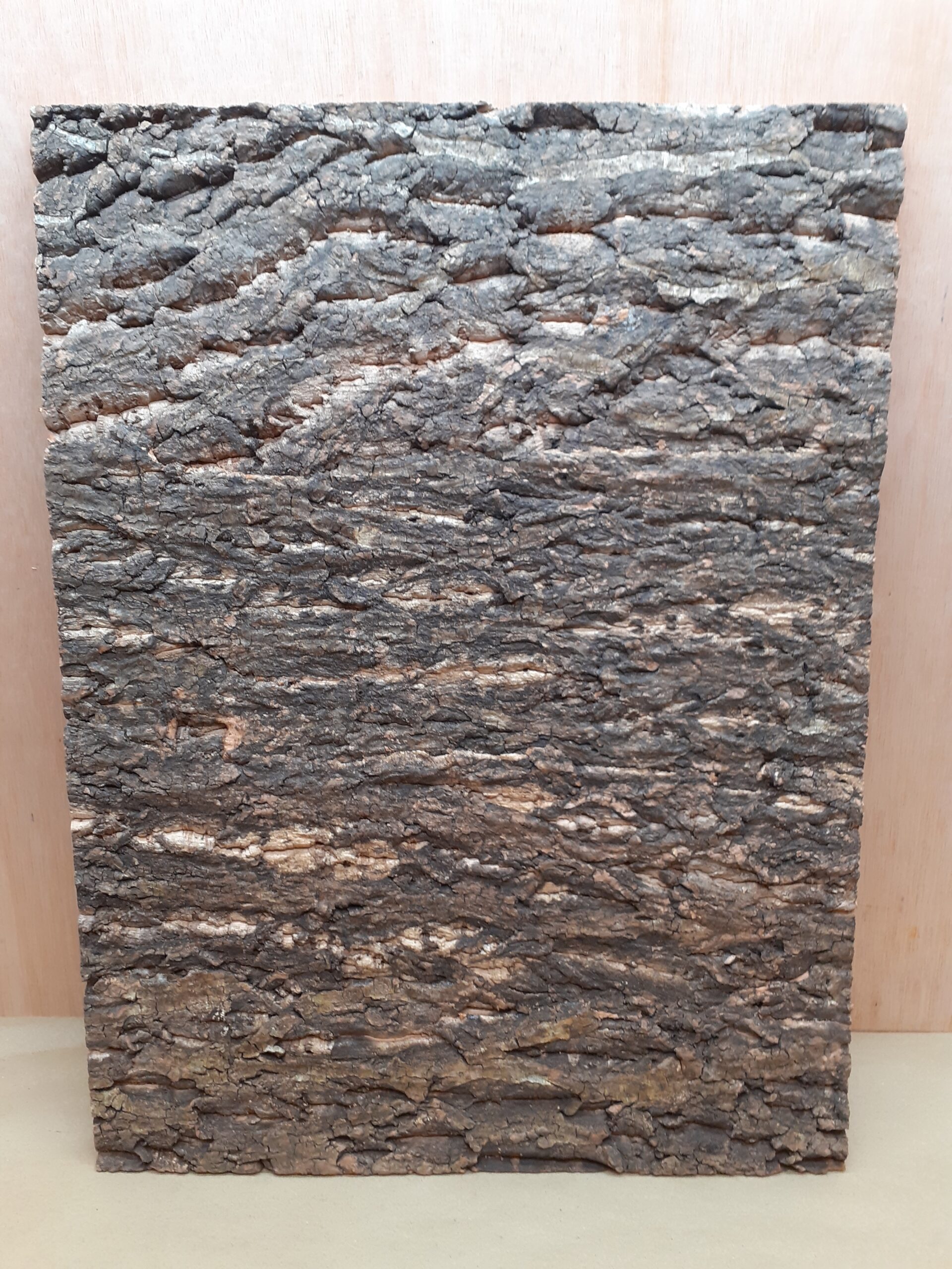 Cork Bark Background Panel 45x60cm - 9