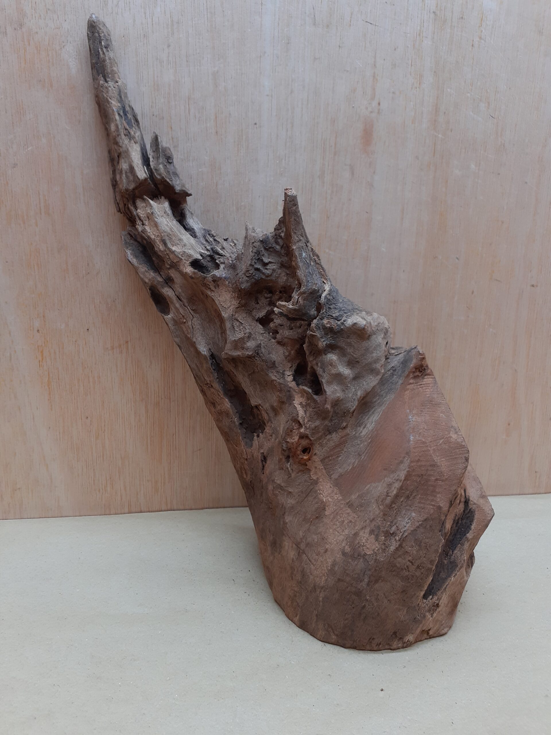 Driftwood - Large 11