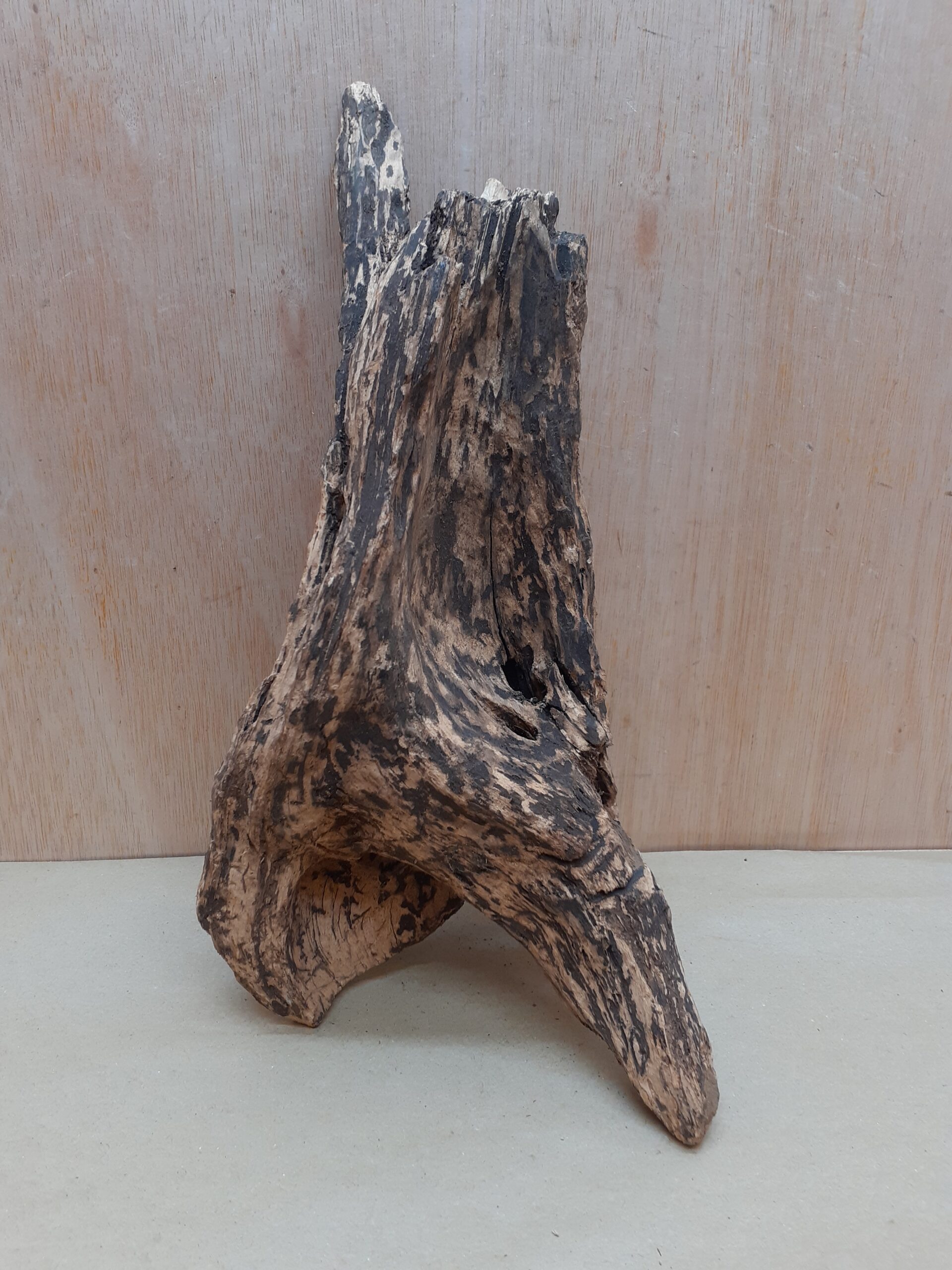 Driftwood - Large 17