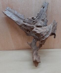 Driftwood - Large 20