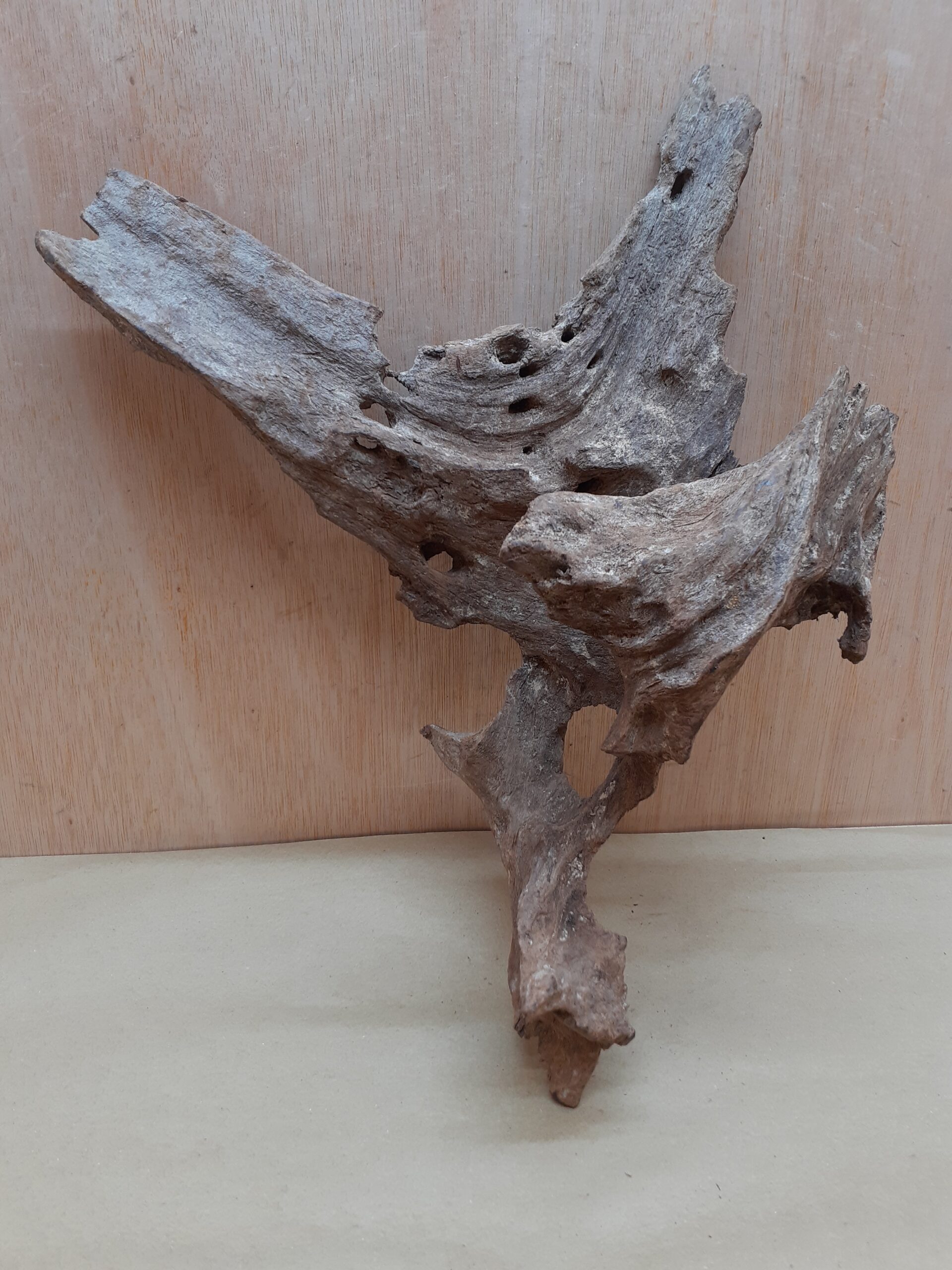 Driftwood - Large 20