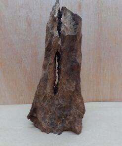 Driftwood - Medium 12