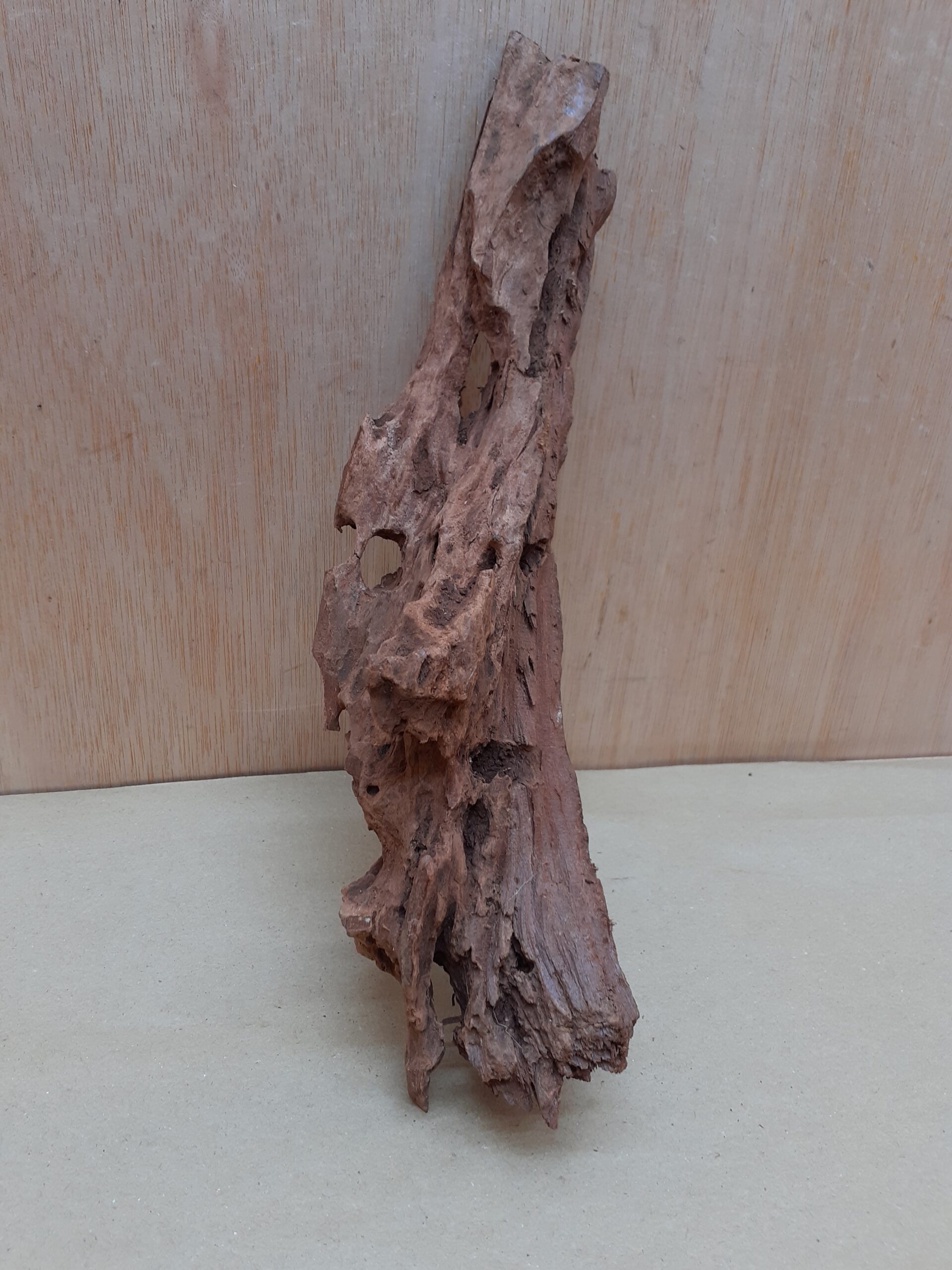 Driftwood - Medium 3