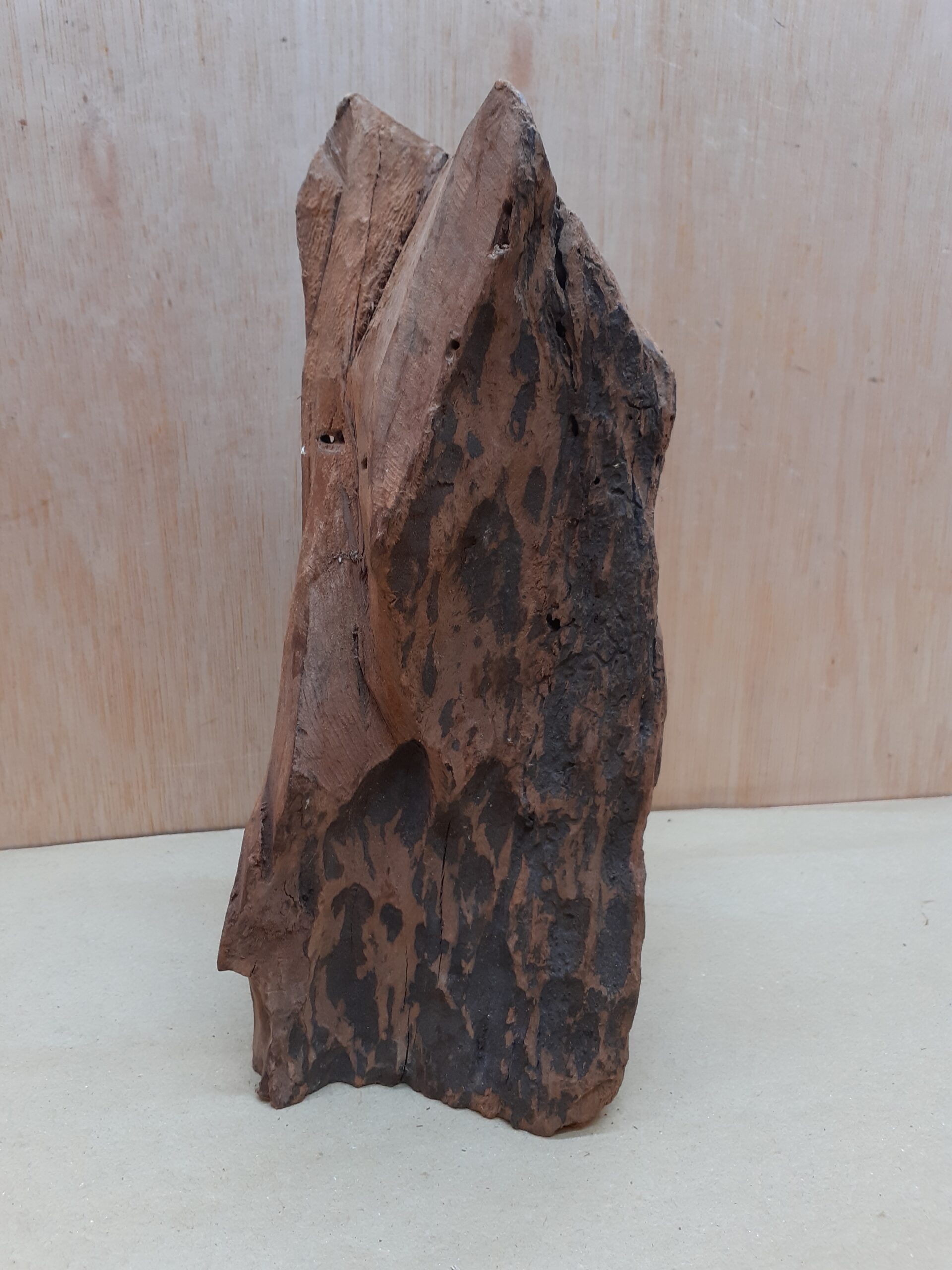 Driftwood - Medium 4