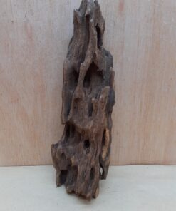 Driftwood - Medium 5