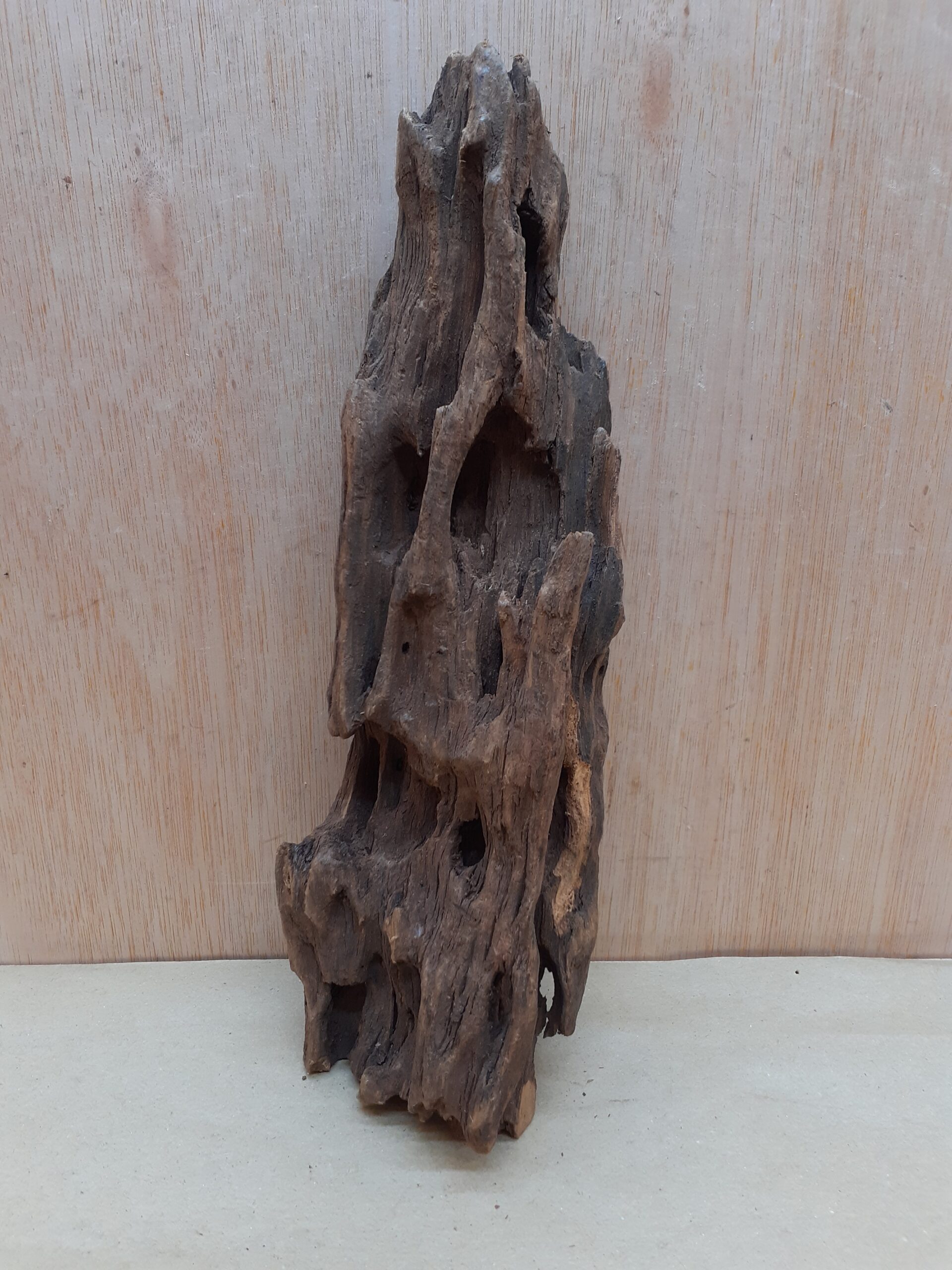 Driftwood - Medium 5