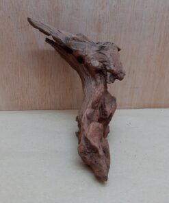 Driftwood - Small 1