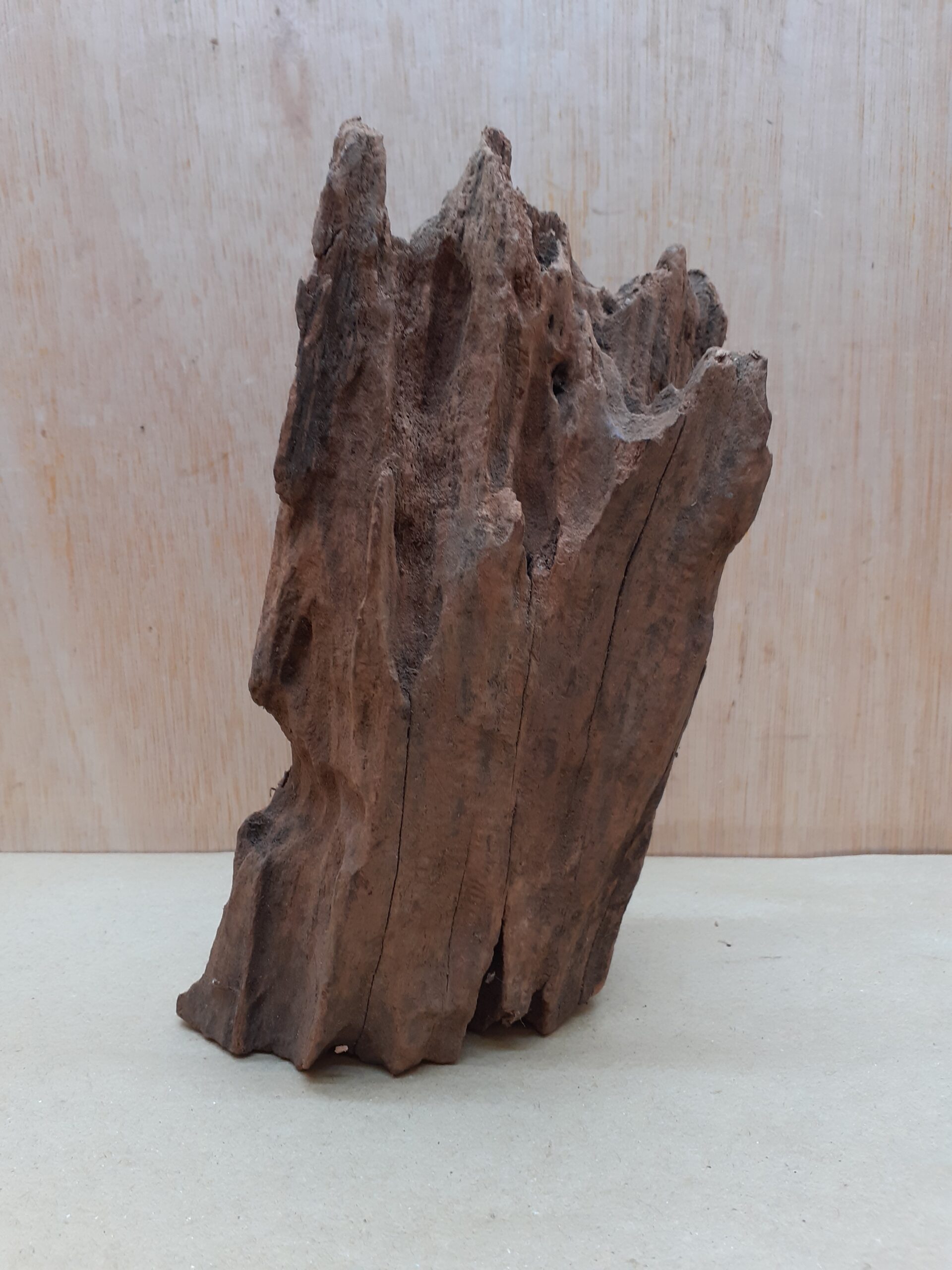 Driftwood - Small 11