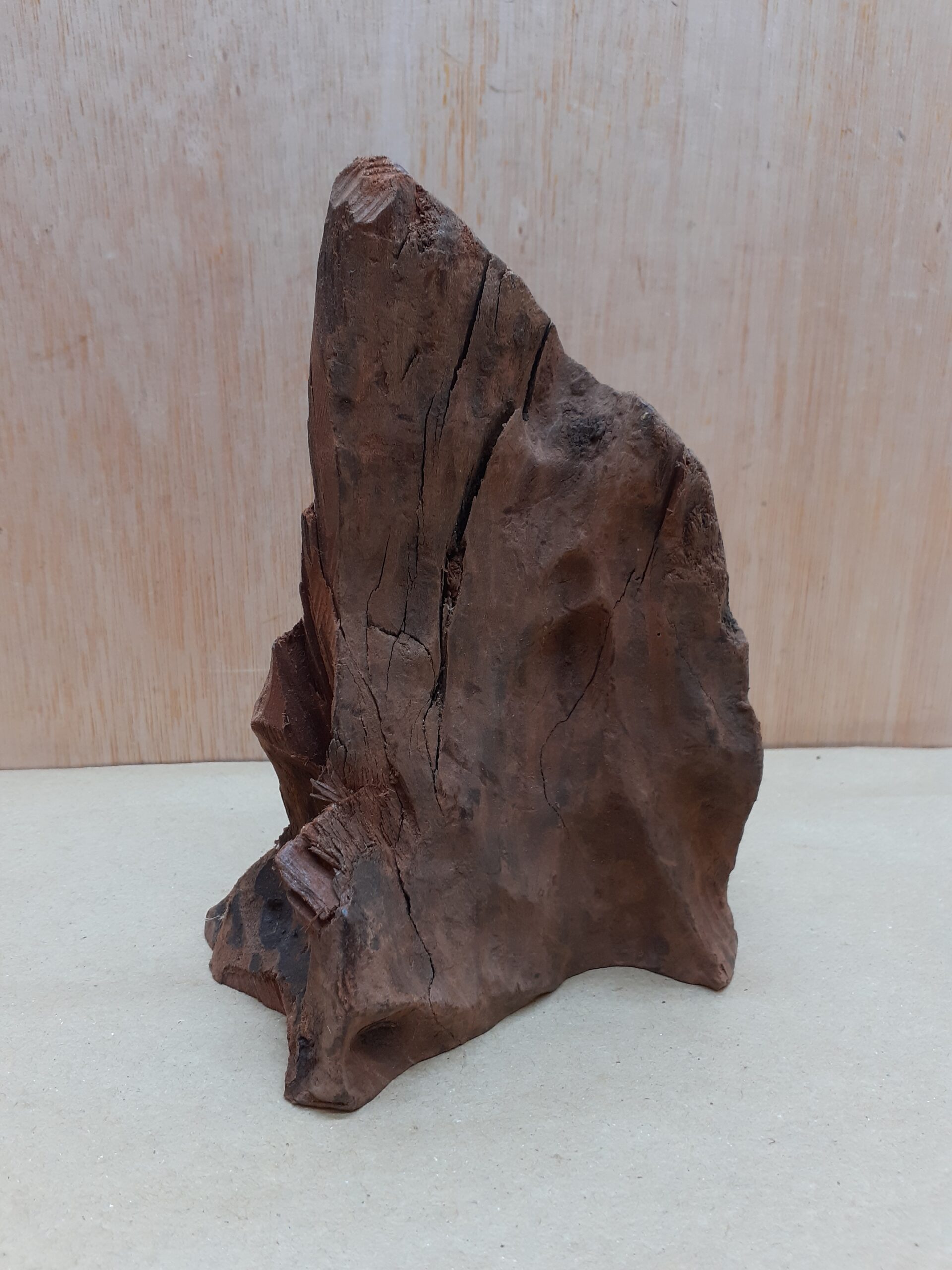 Driftwood - Small 5