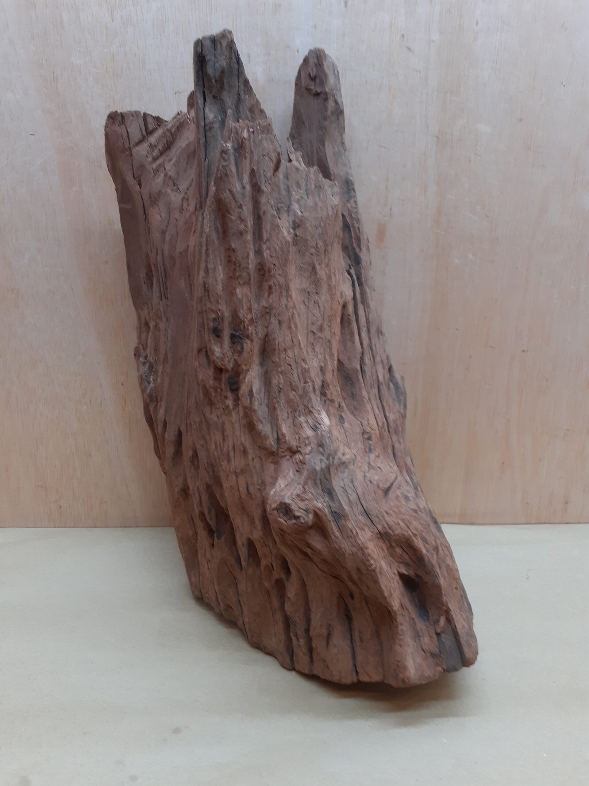 Driftwood - XL 17