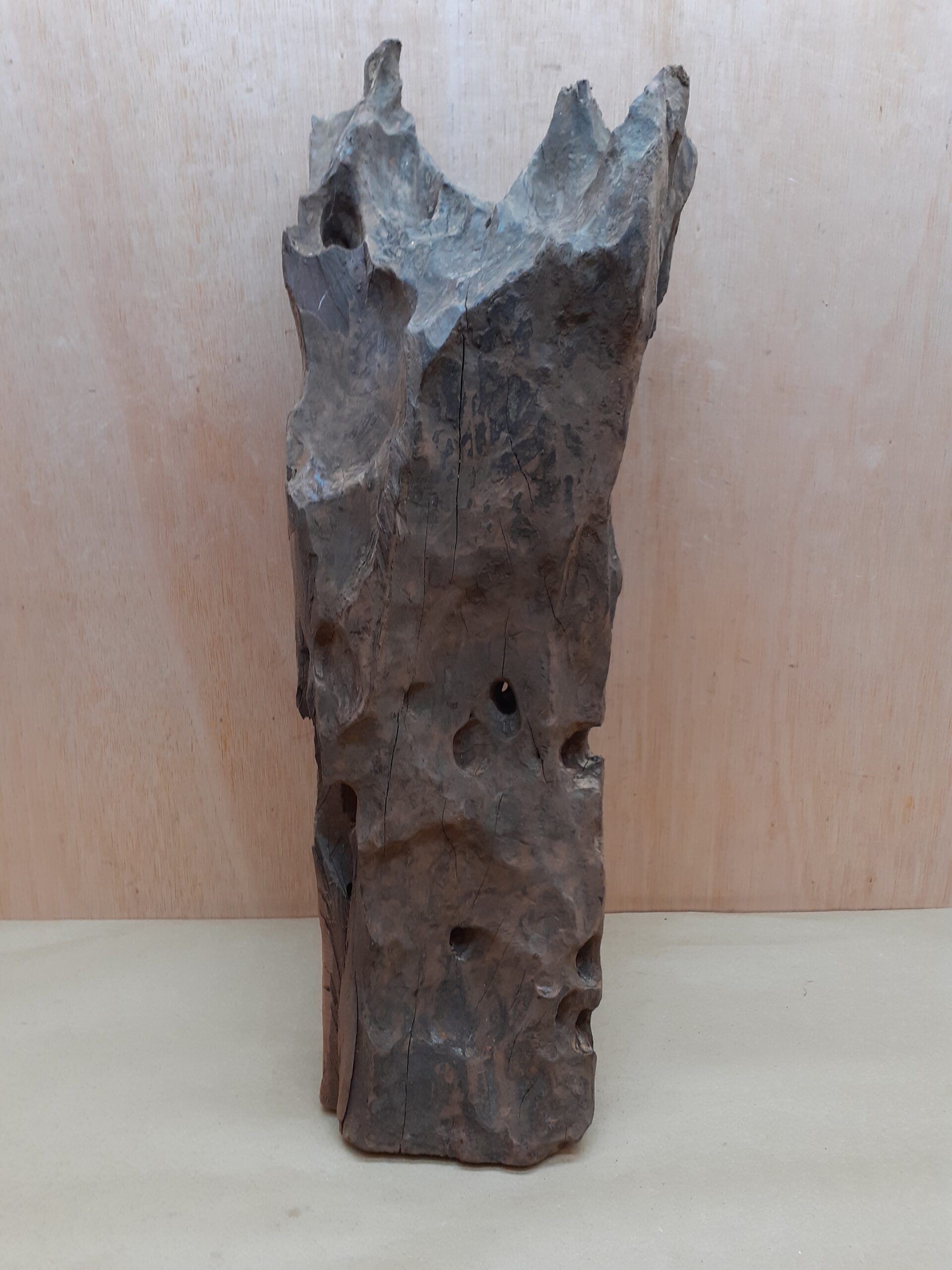 Driftwood - XL 18
