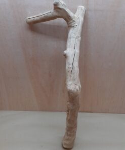Java Wood - Single Stem - XL 14