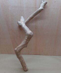 Java Wood - Single Stem - XL 15