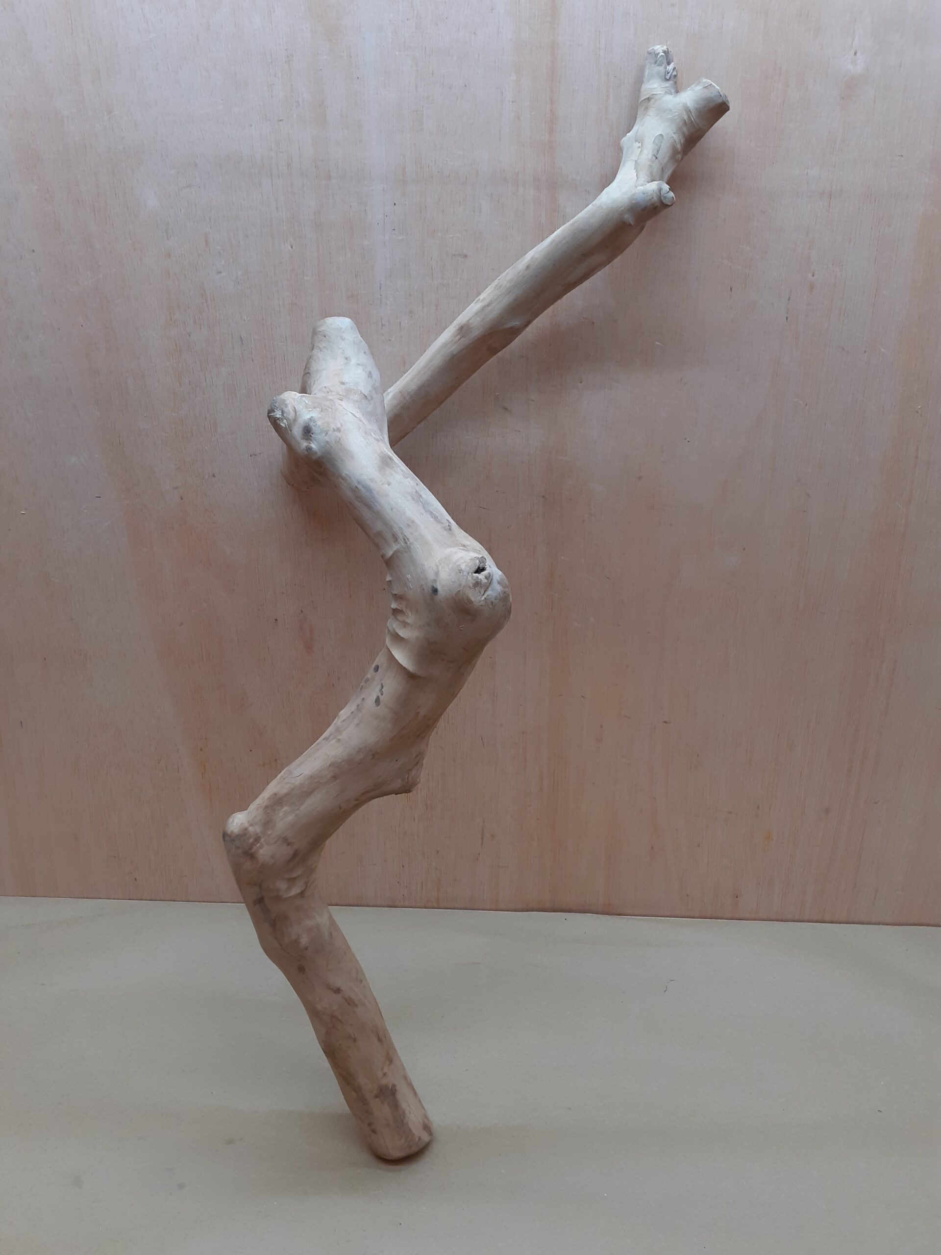 Java Wood - Single Stem - XL 15