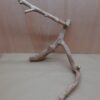 Java Wood - Double Stem - XXL 5